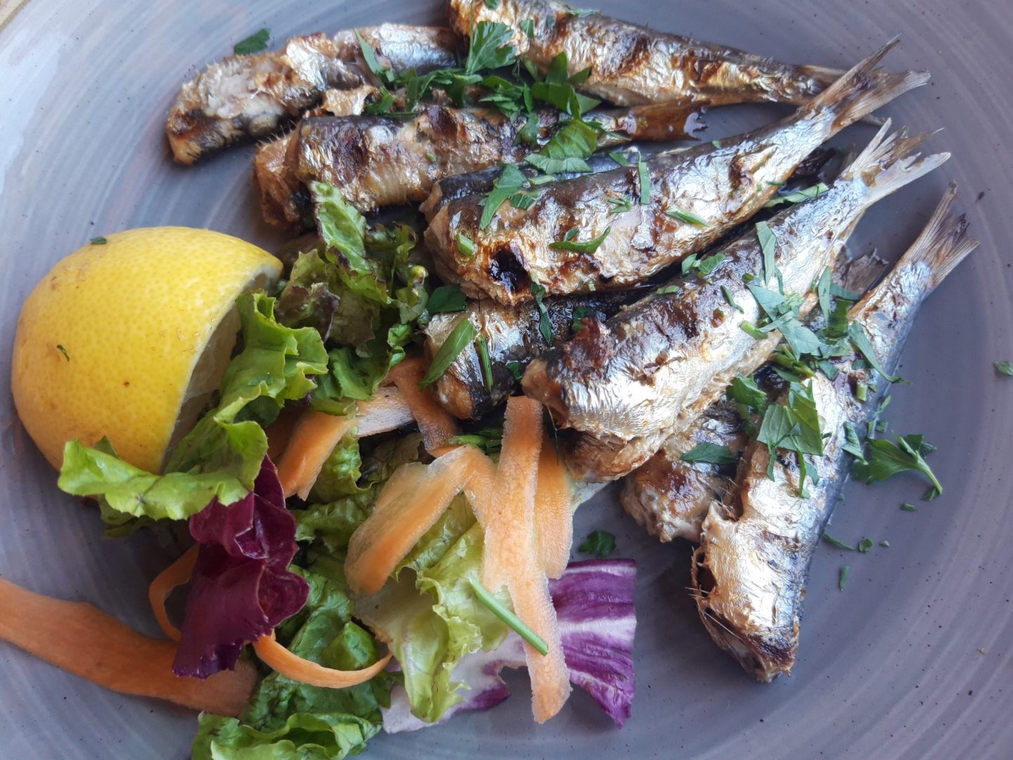 Bewertung Erfahrung Kritik Sardinen vom Grill Meltemi Cafe Restaurant Rhodos Stadt Griechenland Foodblog Sternestulle
