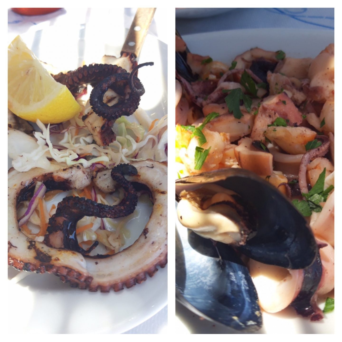 Erfahrung Bewertung Kritik Joannas Nikos Place Mykonos Griechenland Oktopus Meeresfrüchte Salat Foodblog Sternestulle