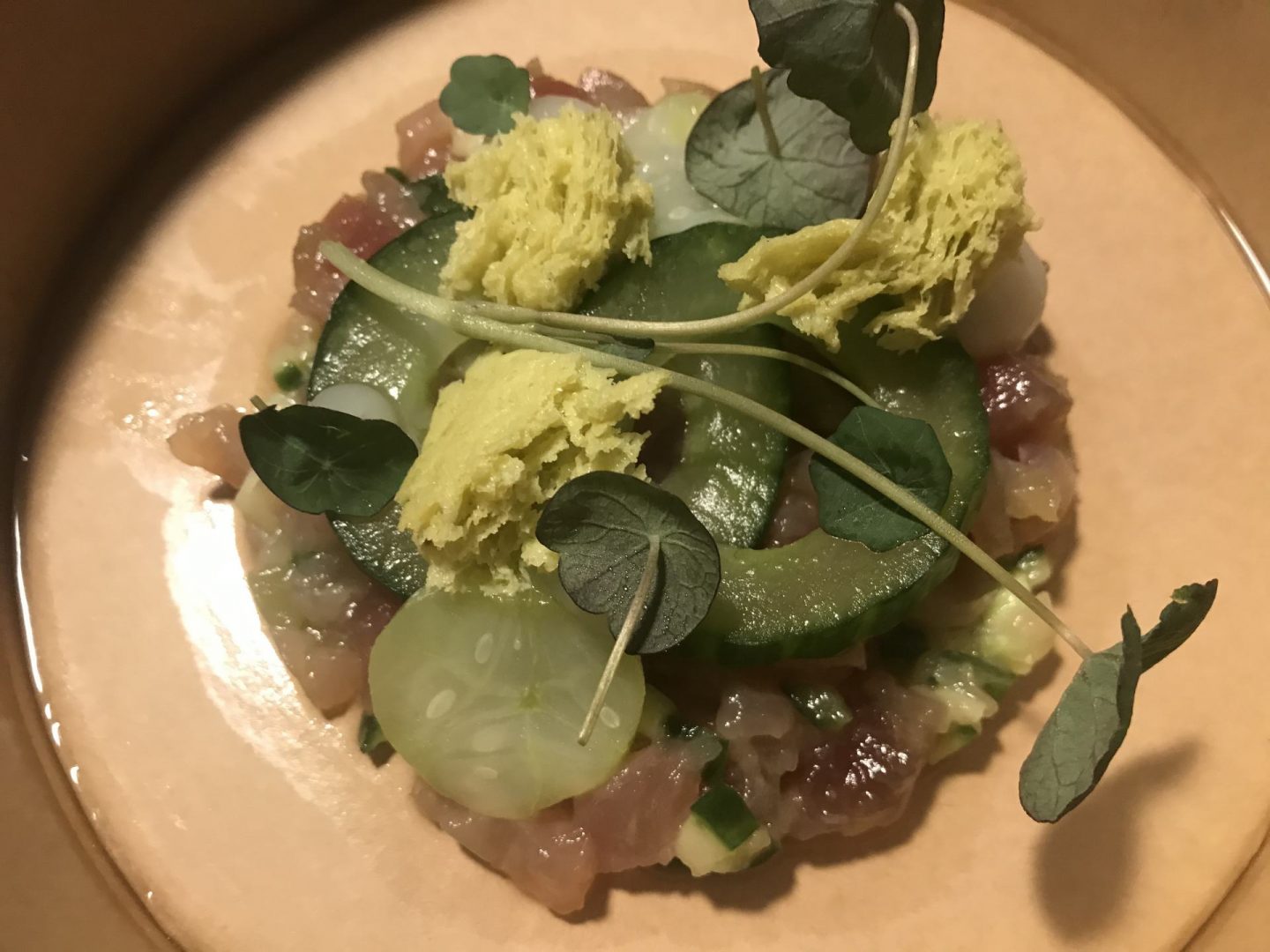 Erfahrung Bewertung Kritik Restaurant Hannappel Gourmetpackage Vorspeise Thunfisch Foodblog Sternestulle