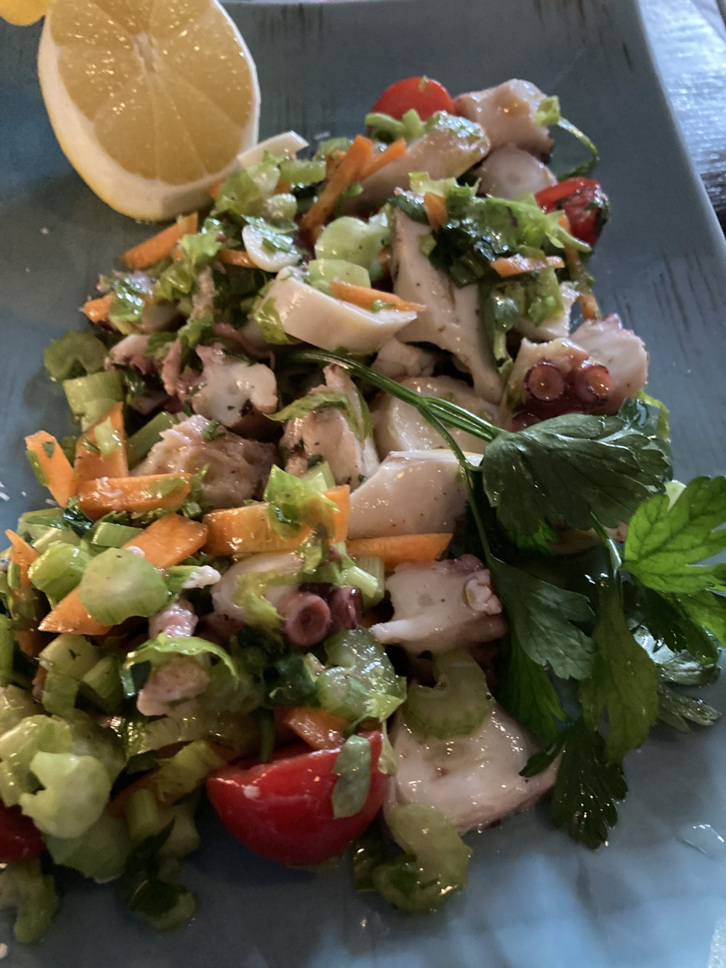 Erfahrung Bewertung Kritik Restaurant Fratelli Herne Oktopussalat Foodblog Sternestulle