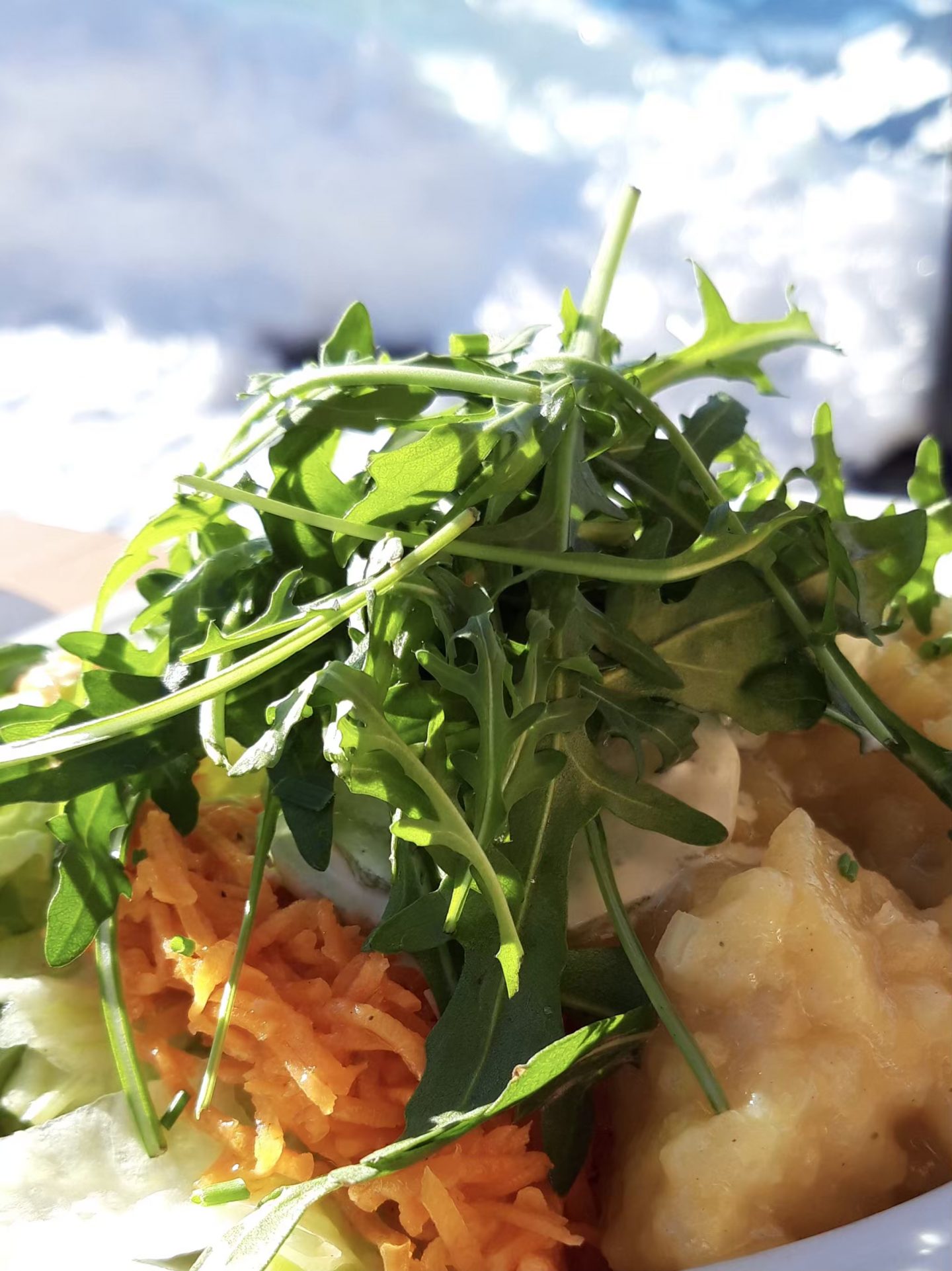 Neulich am Salatäquator