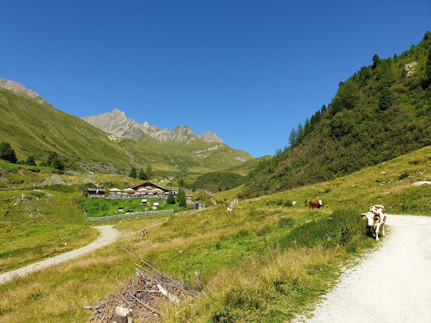 Durchgekaut: Hütten im Tauferer Ahrntal
